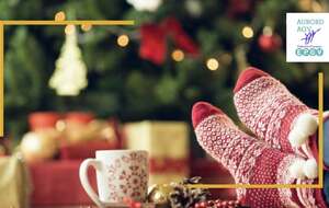 Vacances de Noël, les cours sont en sommeil !